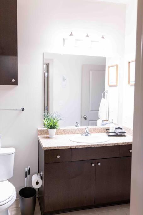 Amplify Spaces 1 And 2 Bedroom Apartments, Downtown Birmingham, Uab Eksteriør billede